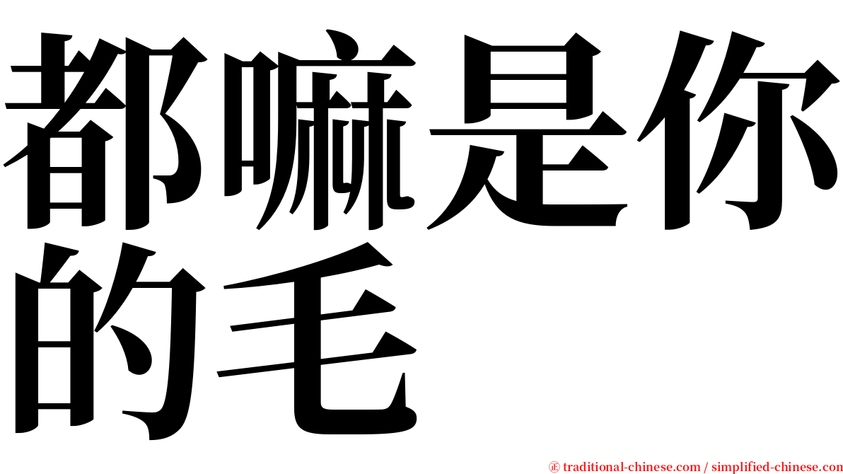 都嘛是你的毛 serif font