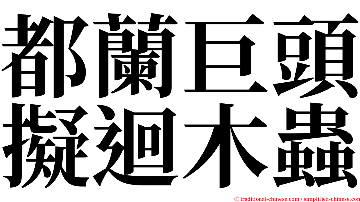 都蘭巨頭擬迴木蟲 serif font