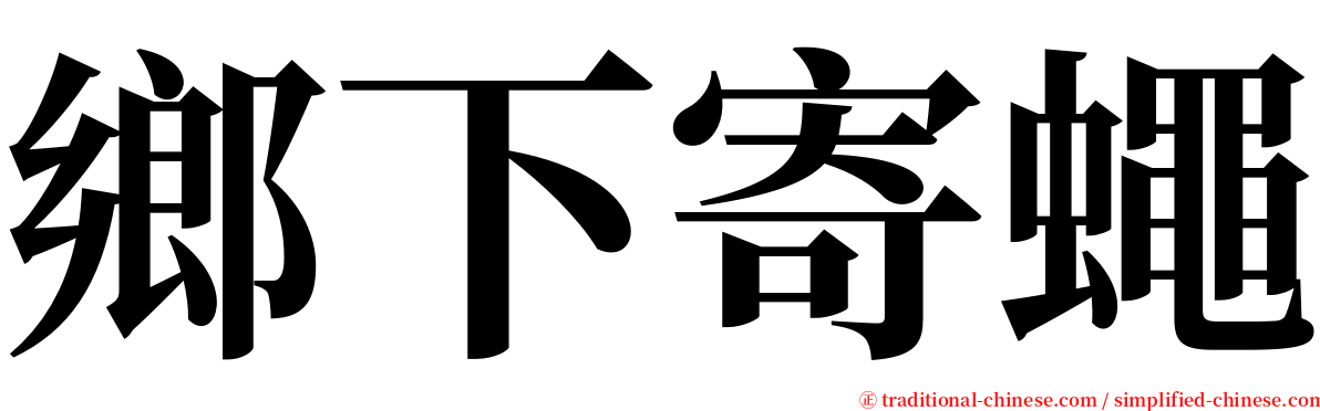 鄉下寄蠅 serif font