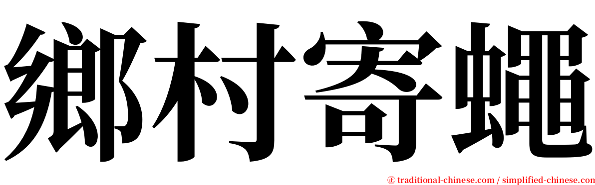 鄉村寄蠅 serif font