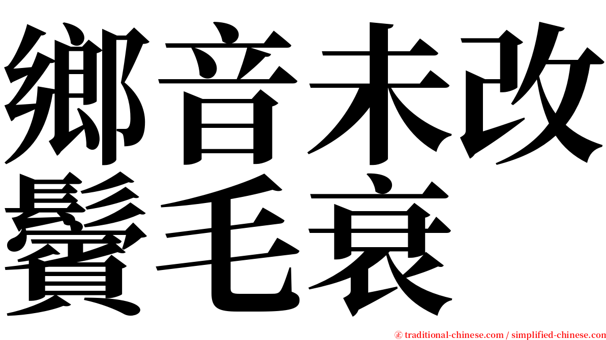 鄉音未改鬢毛衰 serif font