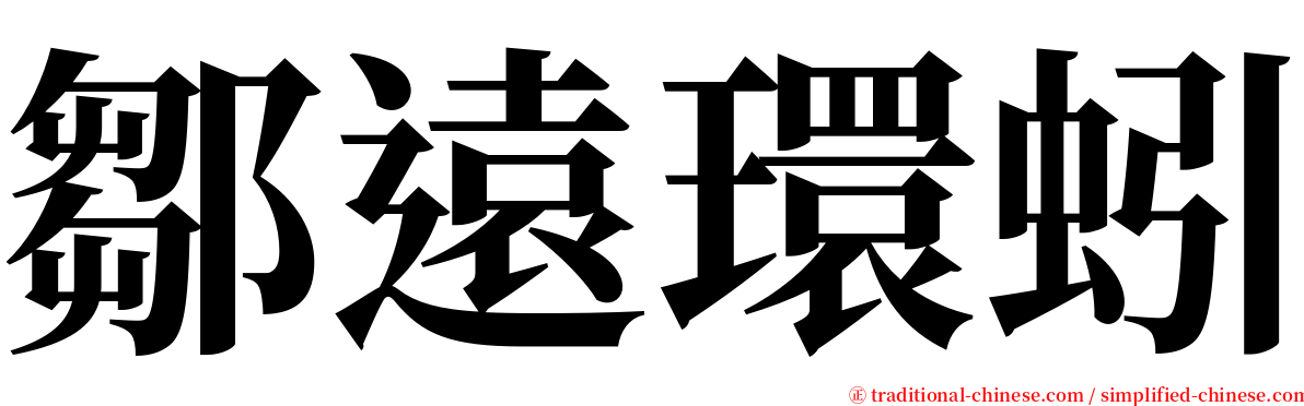 鄒遠環蚓 serif font