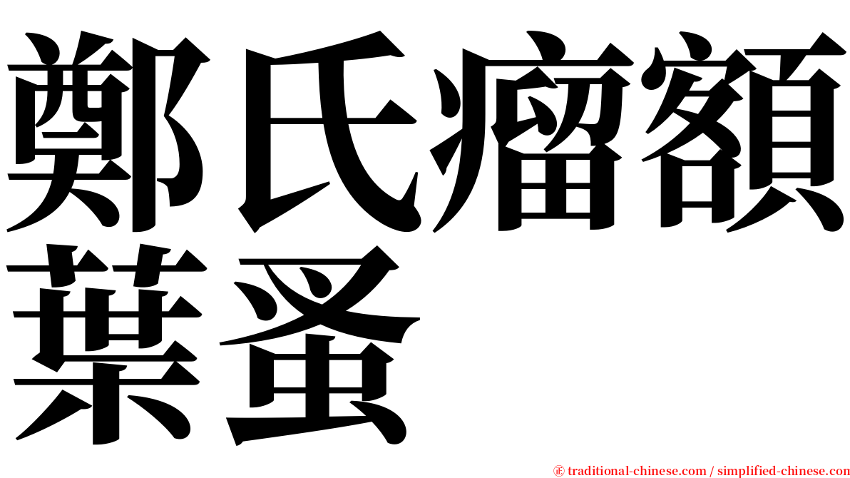 鄭氏瘤額葉蚤 serif font