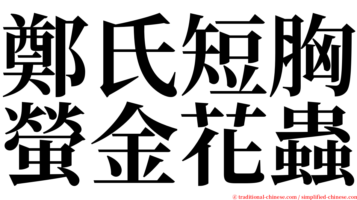 鄭氏短胸螢金花蟲 serif font