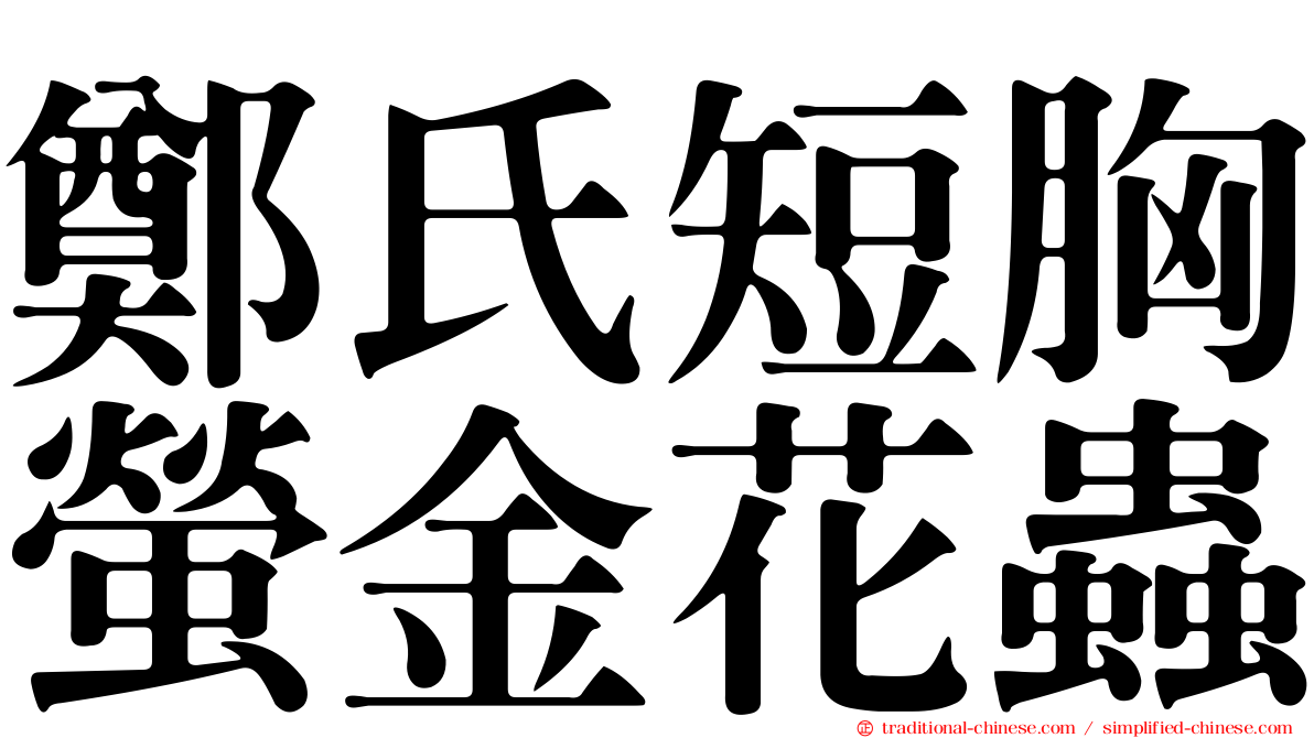 鄭氏短胸螢金花蟲