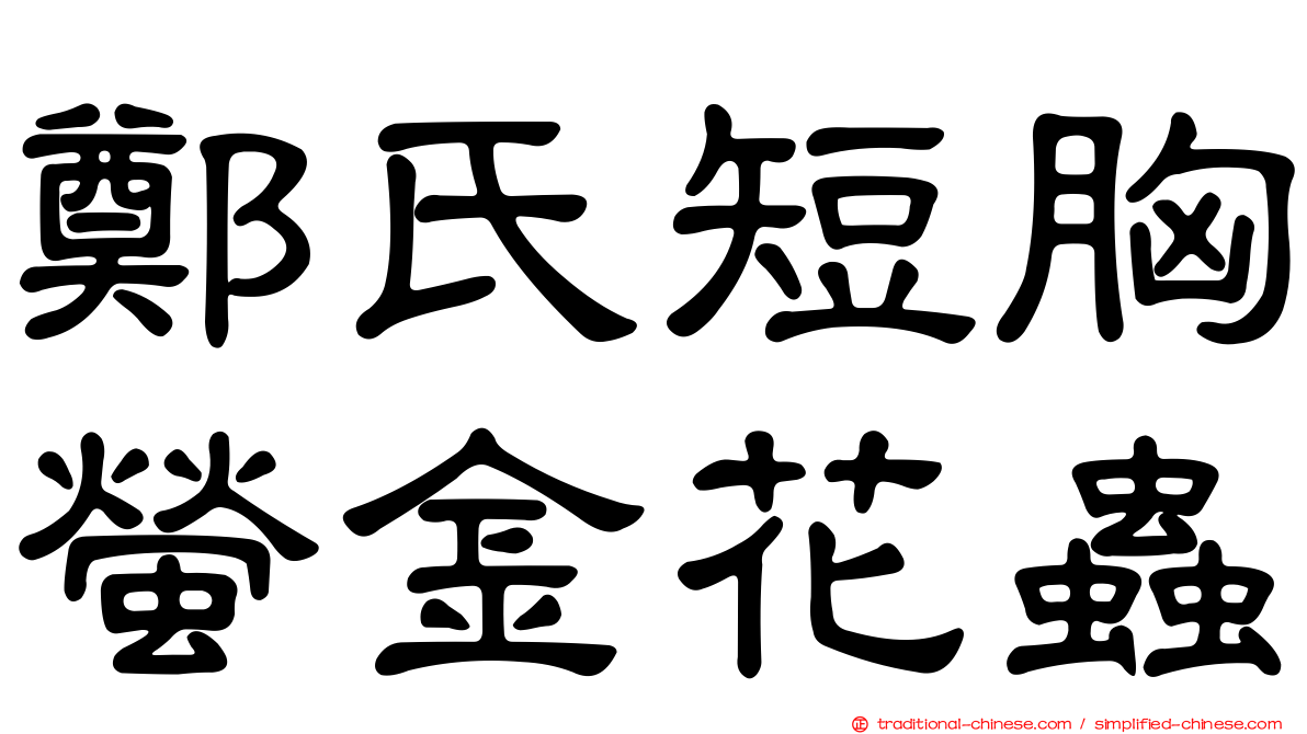 鄭氏短胸螢金花蟲