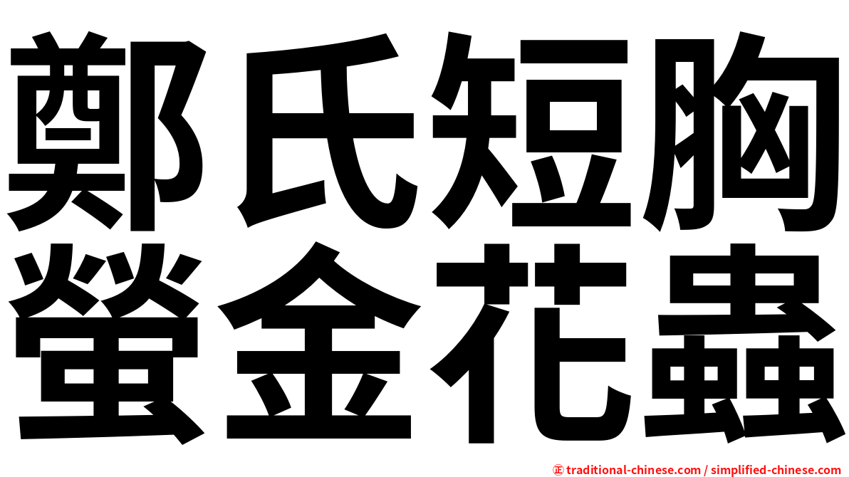 鄭氏短胸螢金花蟲