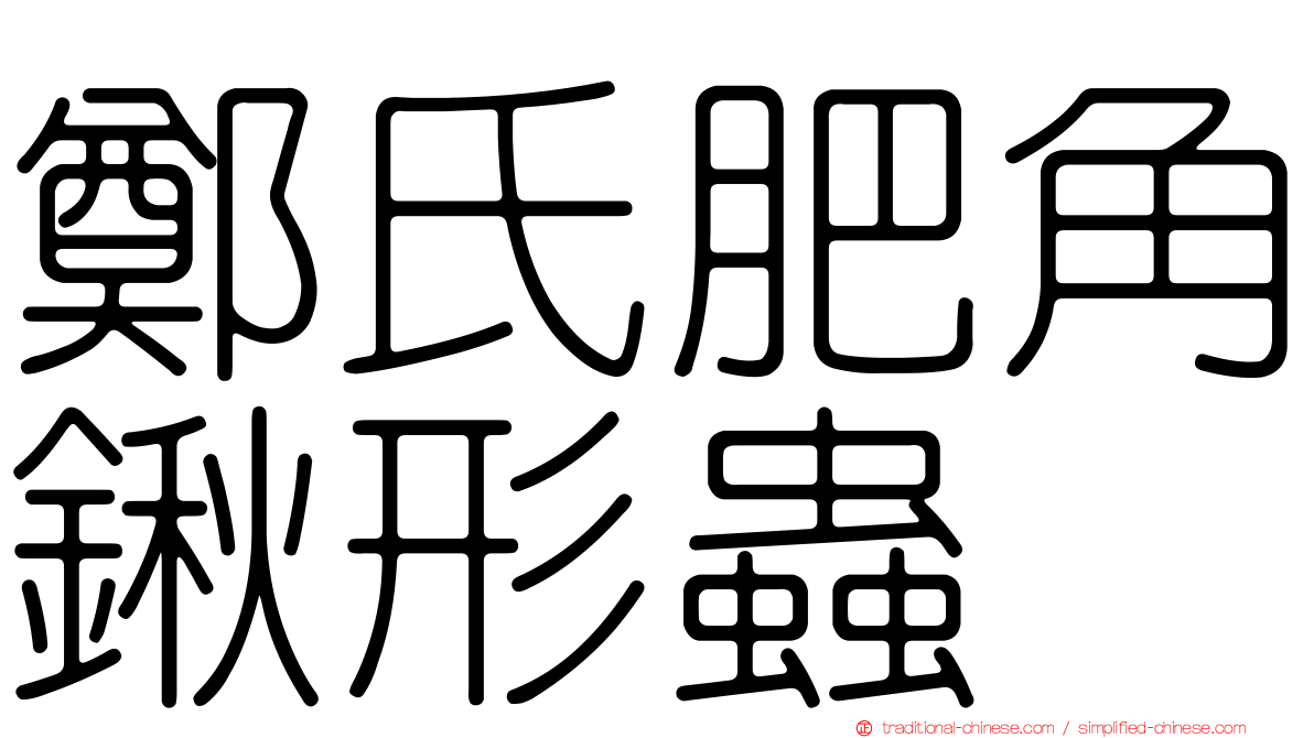 鄭氏肥角鍬形蟲