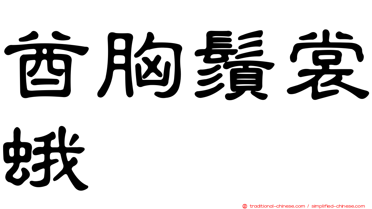 酋胸鬚裳蛾