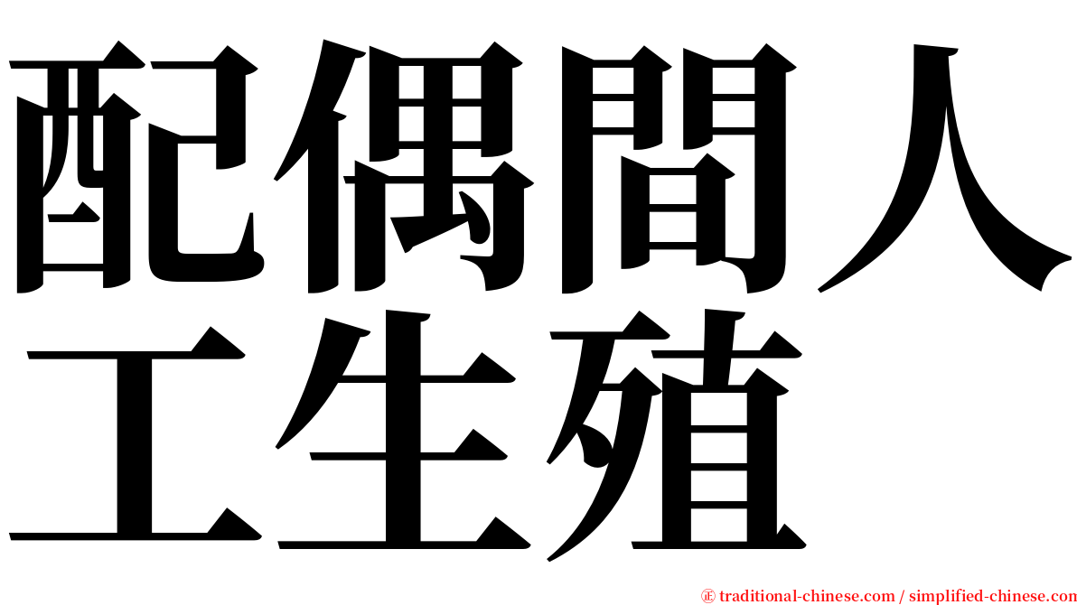 配偶間人工生殖 serif font