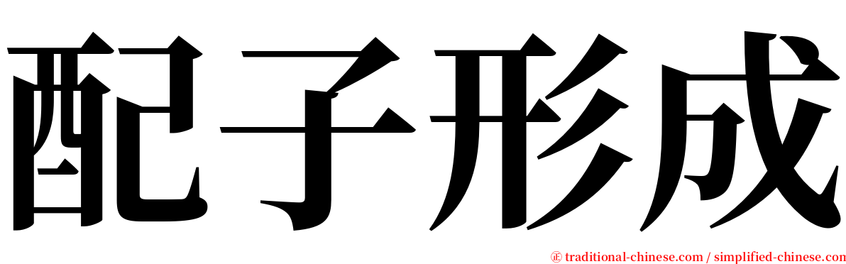 配子形成 serif font