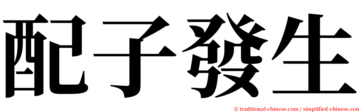 配子發生 serif font