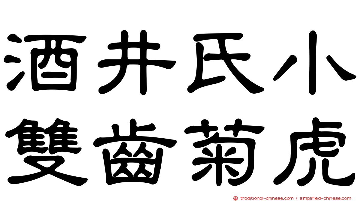 酒井氏小雙齒菊虎