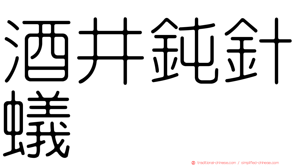 酒井鈍針蟻