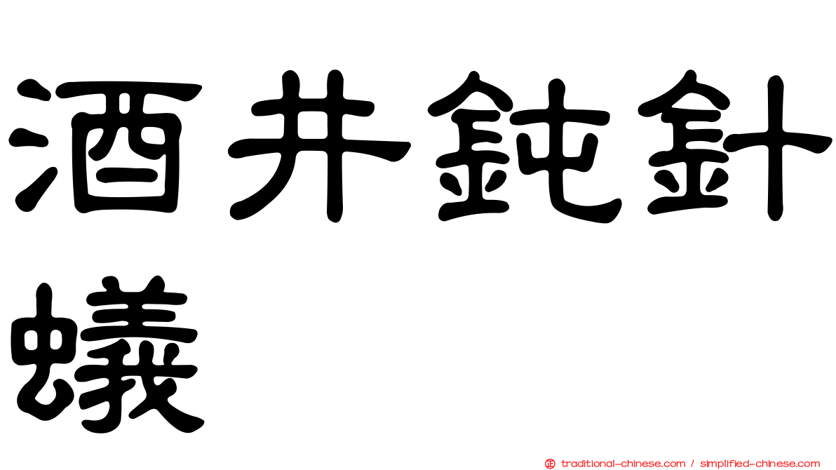 酒井鈍針蟻