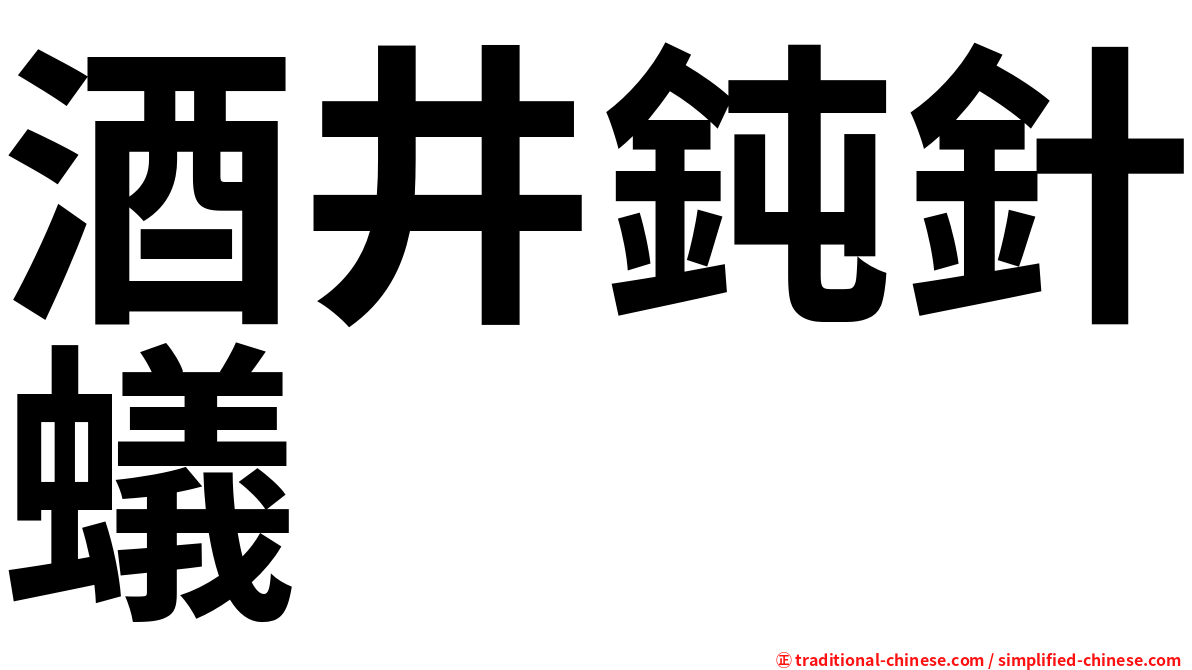 酒井鈍針蟻