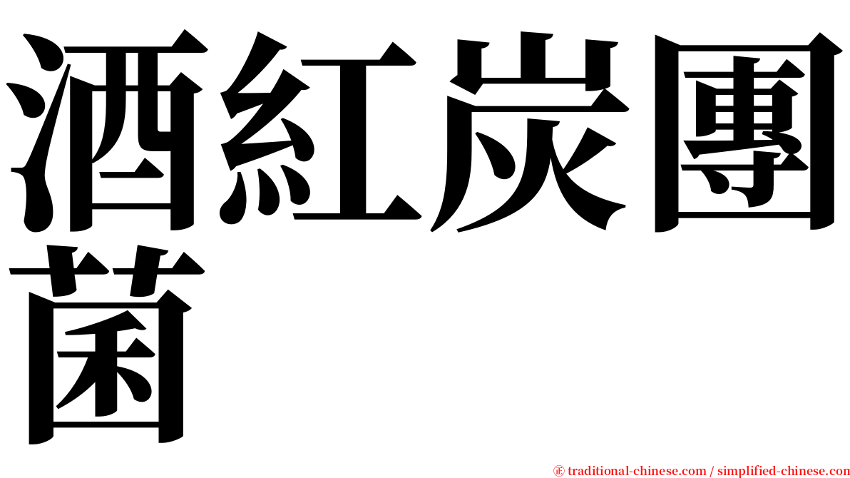 酒紅炭團菌 serif font