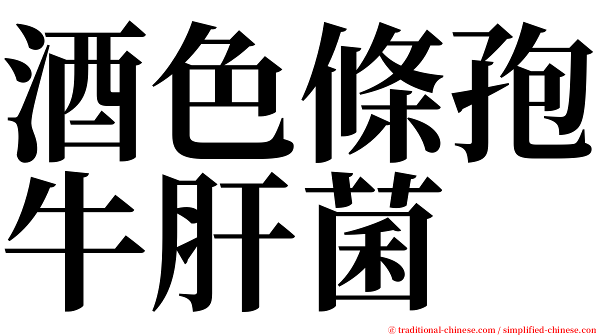 酒色條孢牛肝菌 serif font