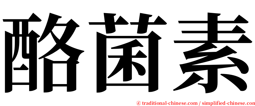 酪菌素 serif font