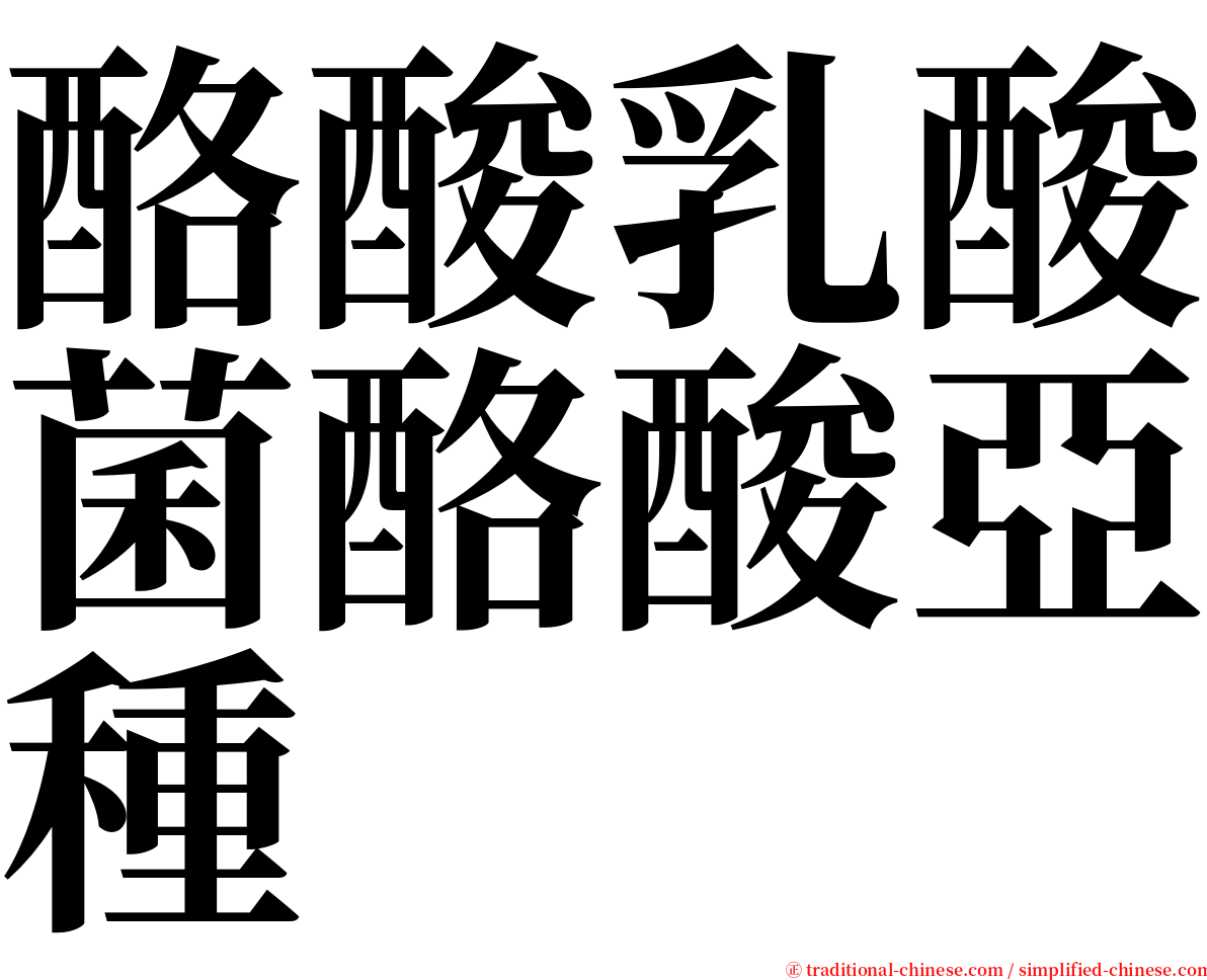 酪酸乳酸菌酪酸亞種 serif font