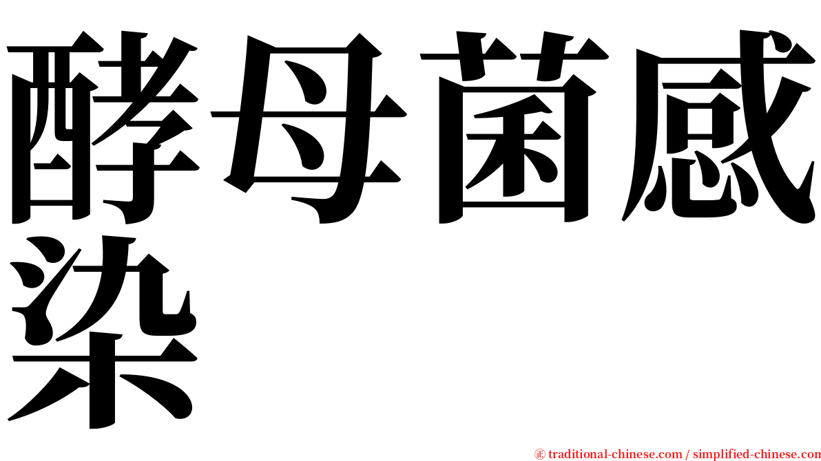 酵母菌感染 serif font