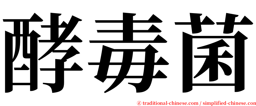 酵毒菌 serif font