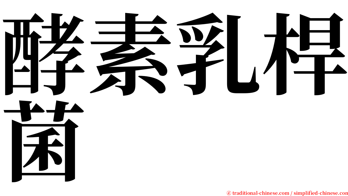 酵素乳桿菌 serif font