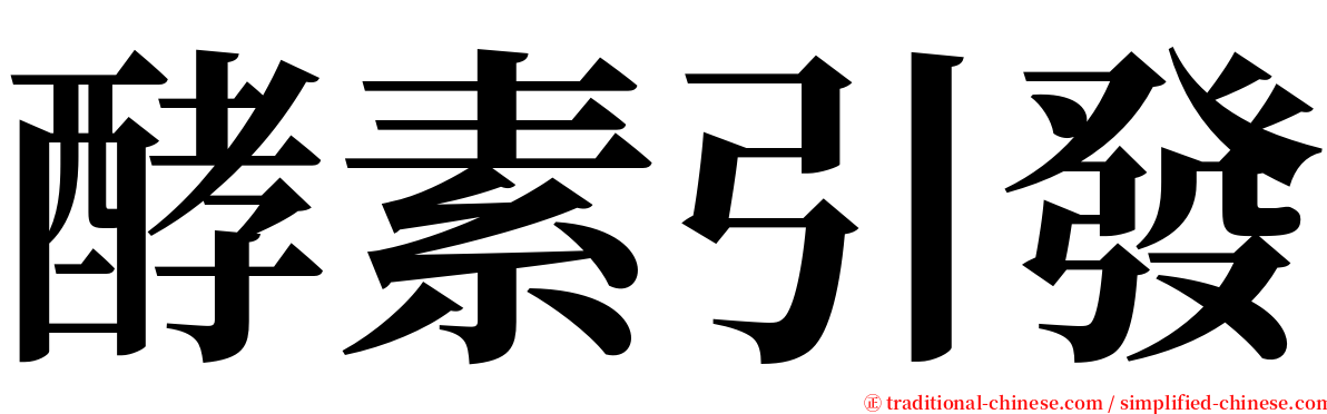 酵素引發 serif font