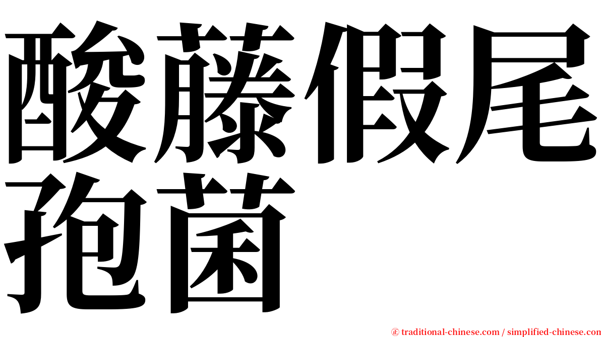 酸藤假尾孢菌 serif font