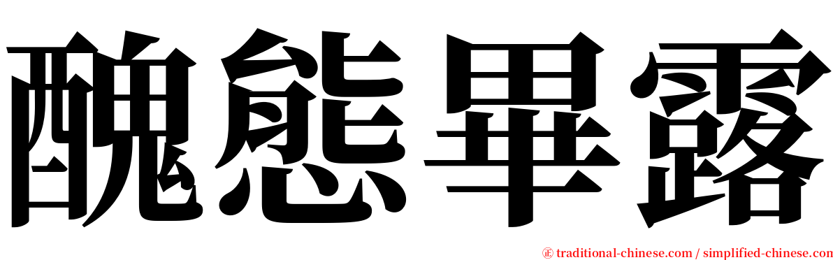 醜態畢露 serif font