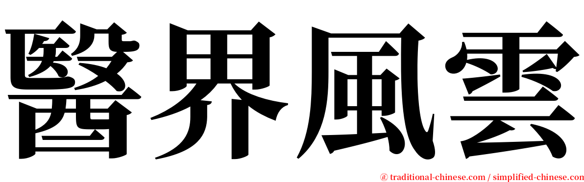 醫界風雲 serif font