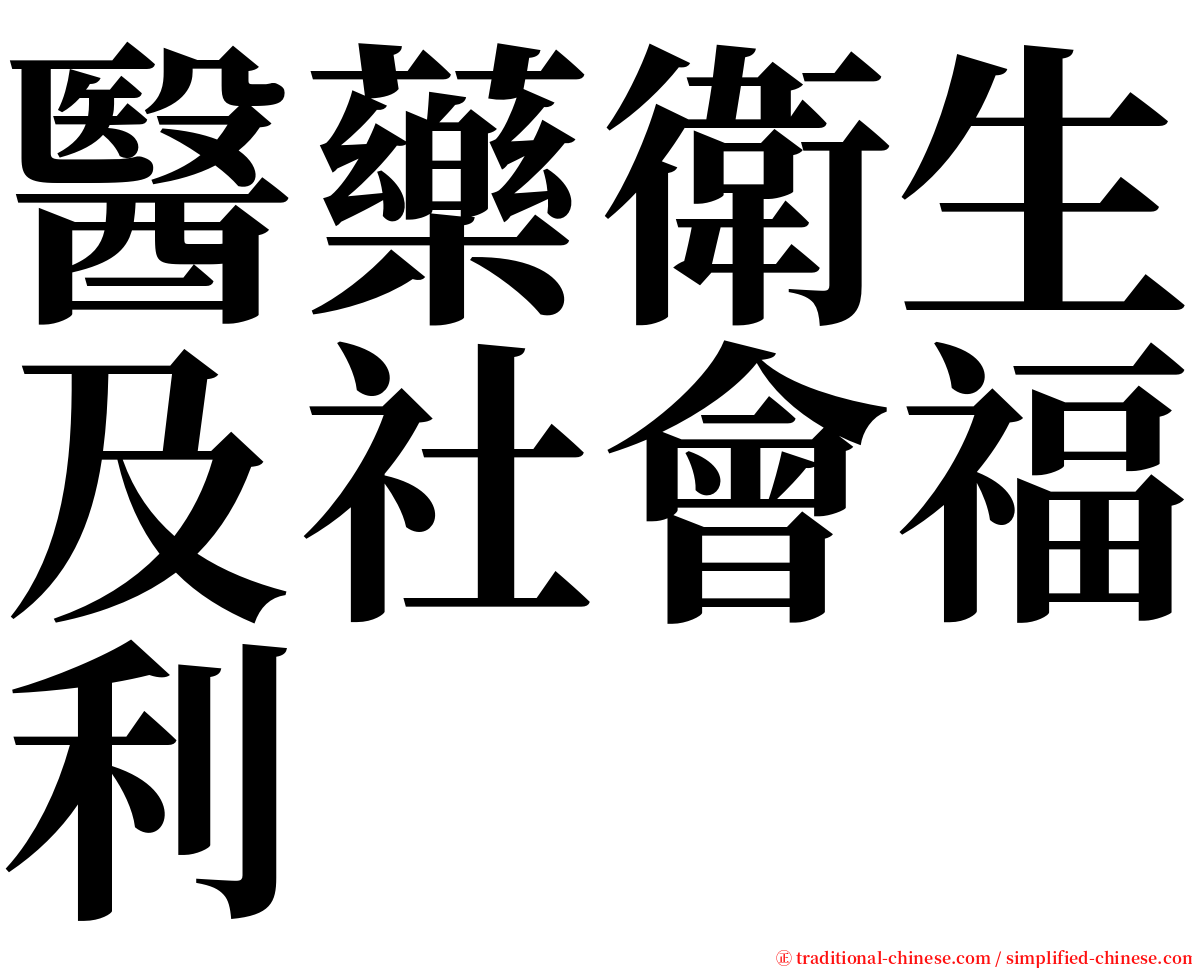 醫藥衛生及社會福利 serif font