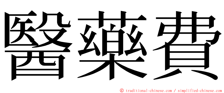 醫藥費 ming font