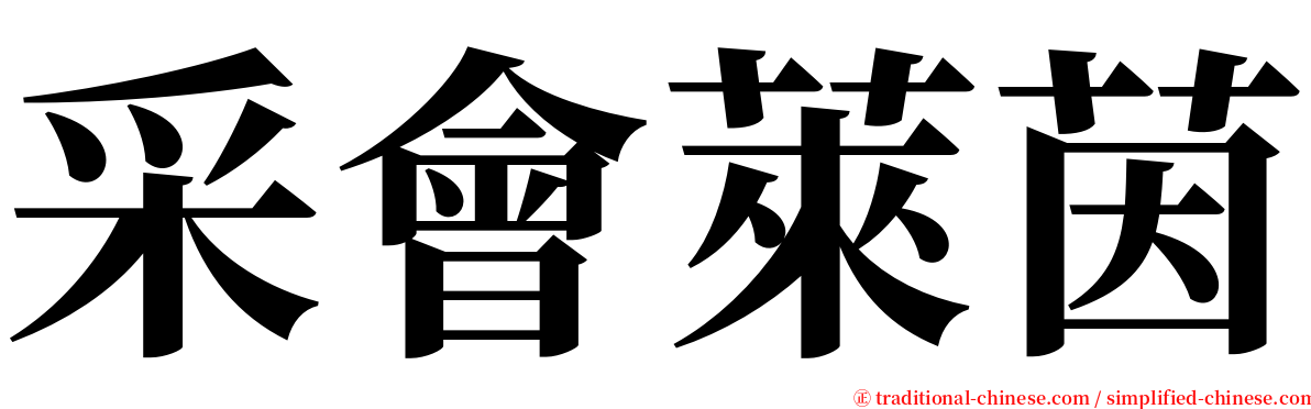 采會萊茵 serif font