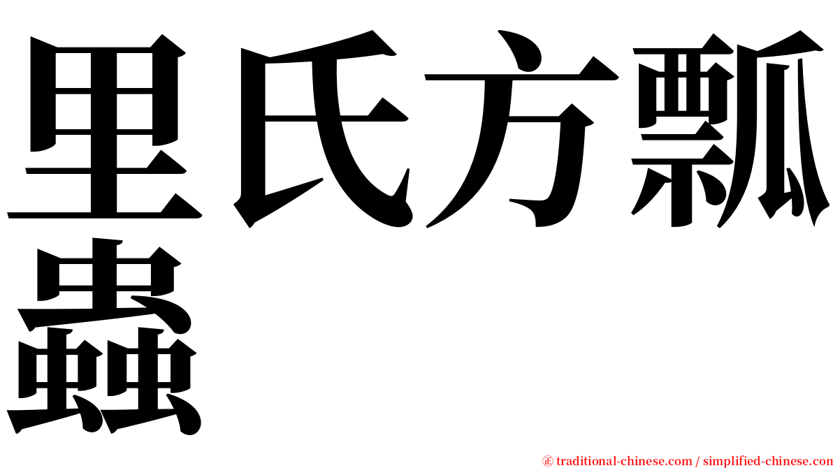 里氏方瓢蟲 serif font