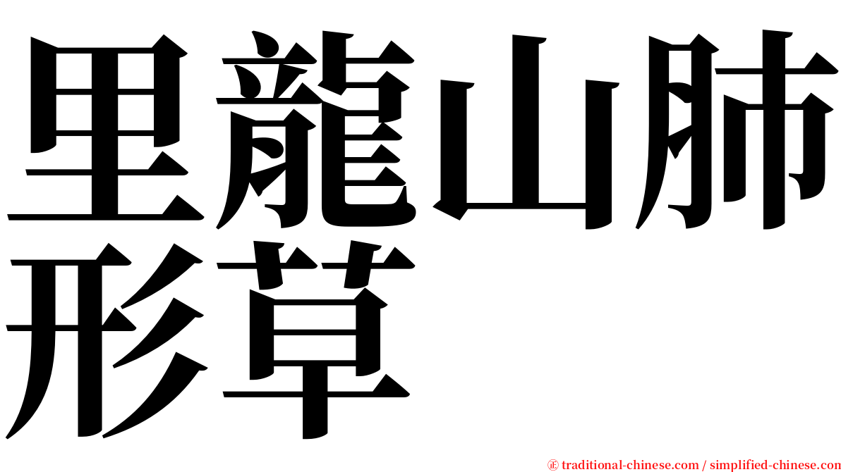 里龍山肺形草 serif font