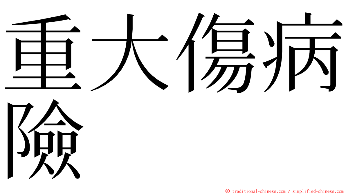 重大傷病險 ming font