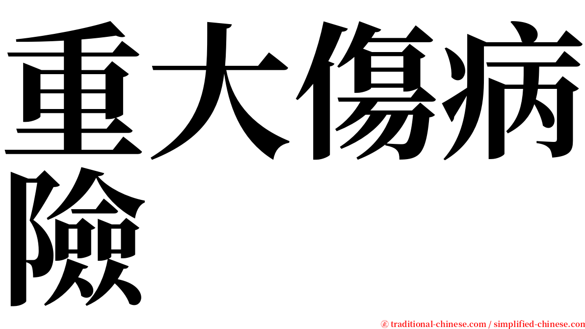 重大傷病險 serif font