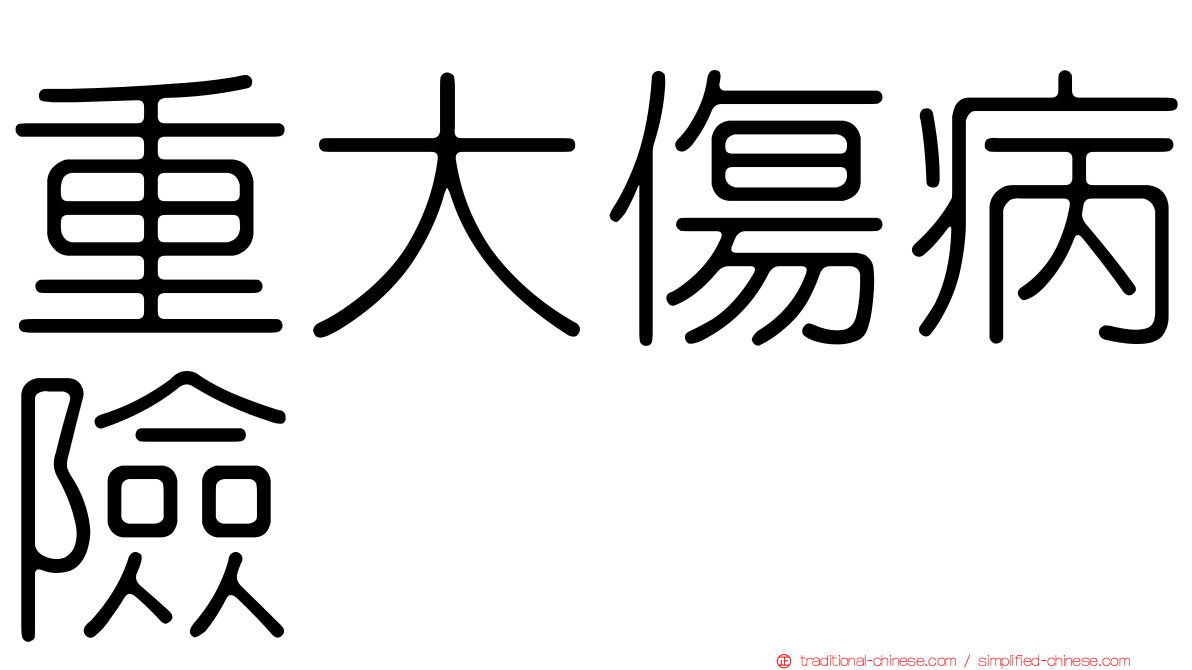 重大傷病險