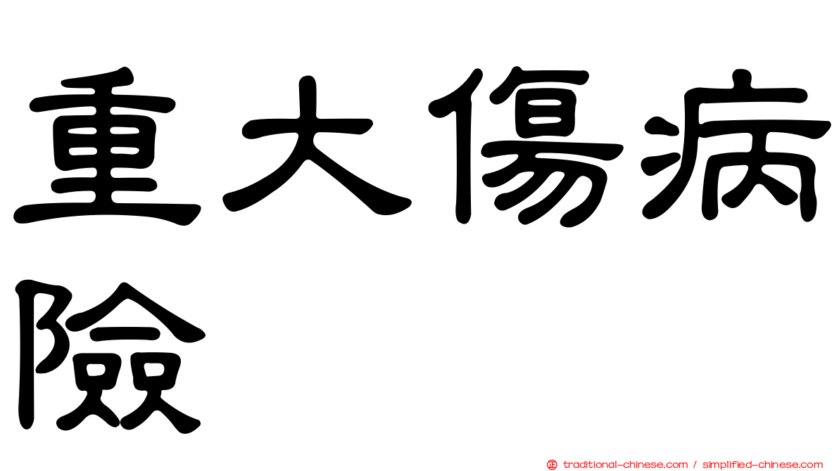 重大傷病險