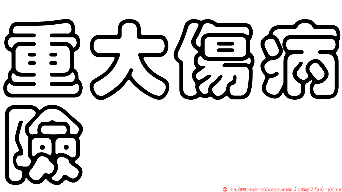 重大傷病險