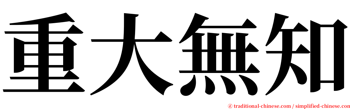 重大無知 serif font