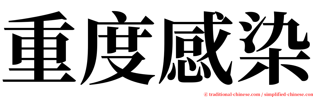 重度感染 serif font