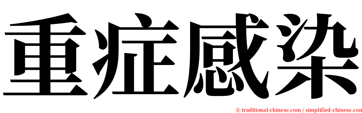 重症感染 serif font