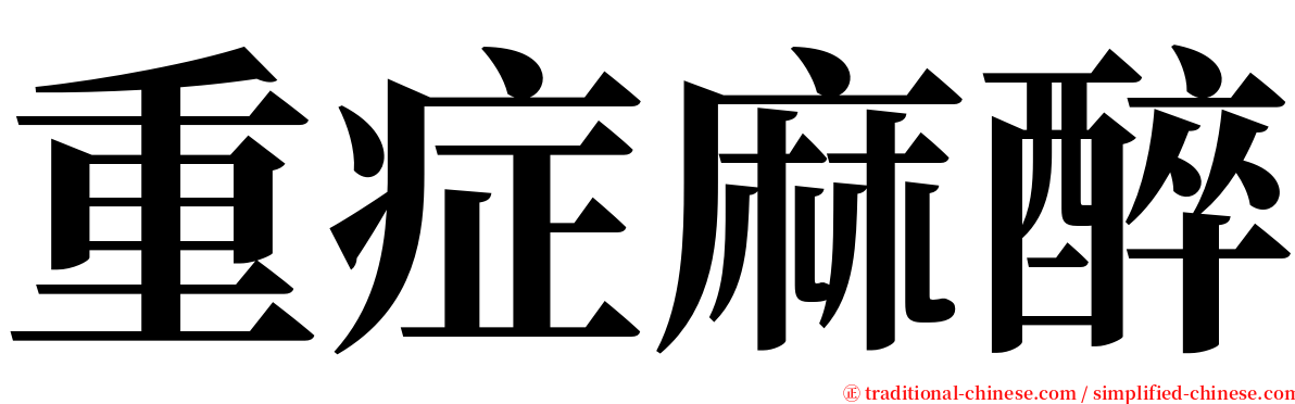 重症麻醉 serif font