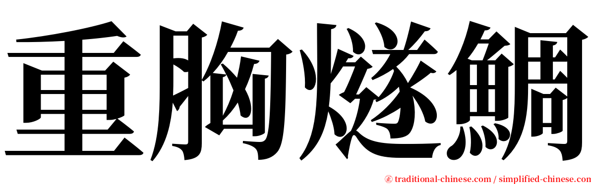 重胸燧鯛 serif font