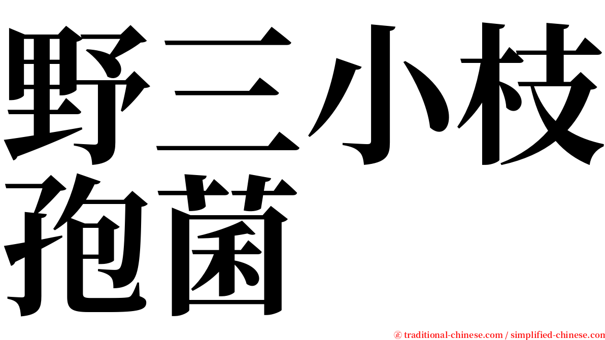 野三小枝孢菌 serif font