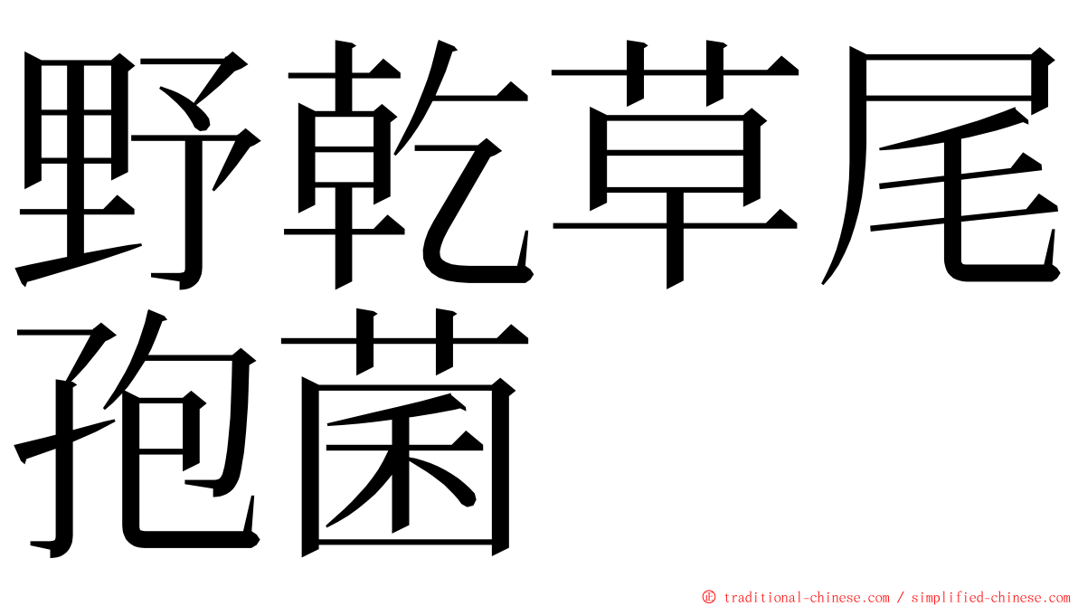 野乾草尾孢菌 ming font
