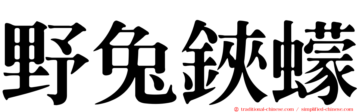 野兔鋏蠓