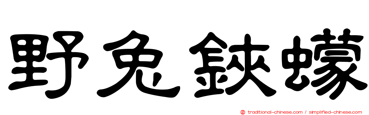 野兔鋏蠓